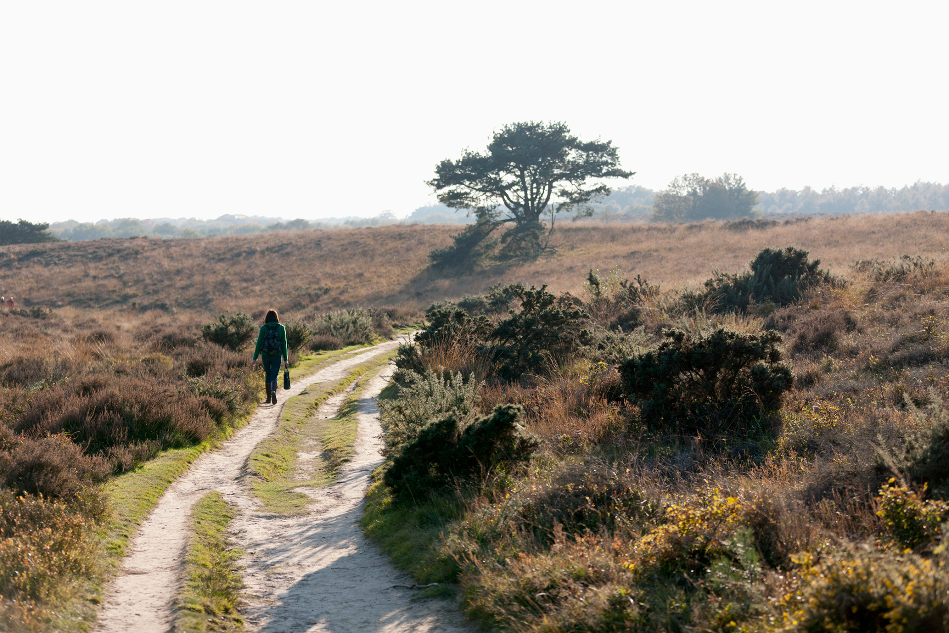 De psychologie van het wandelen