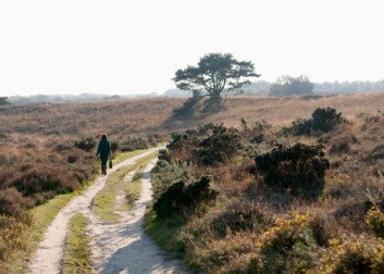 De psychologie van het wandelen