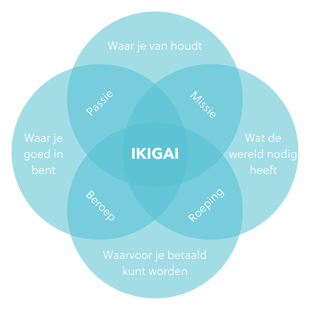 Ikigai model betekenis